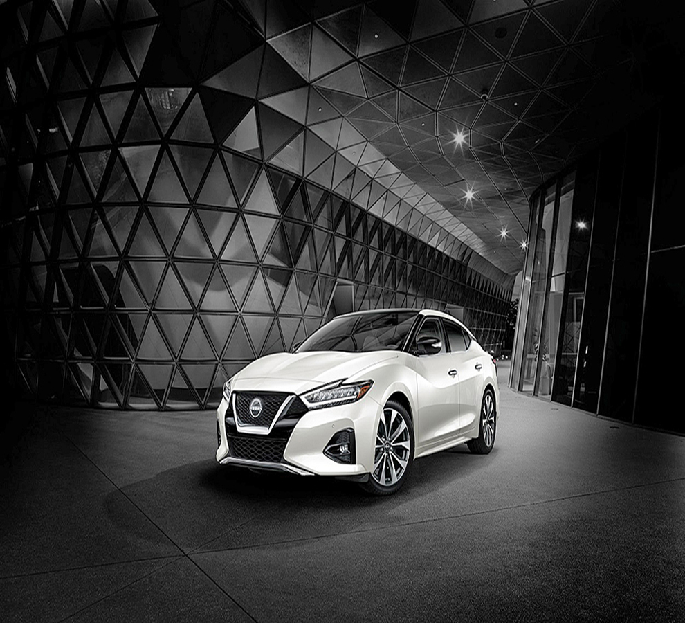 ¿Cuáles son los colores de autos más populares ?