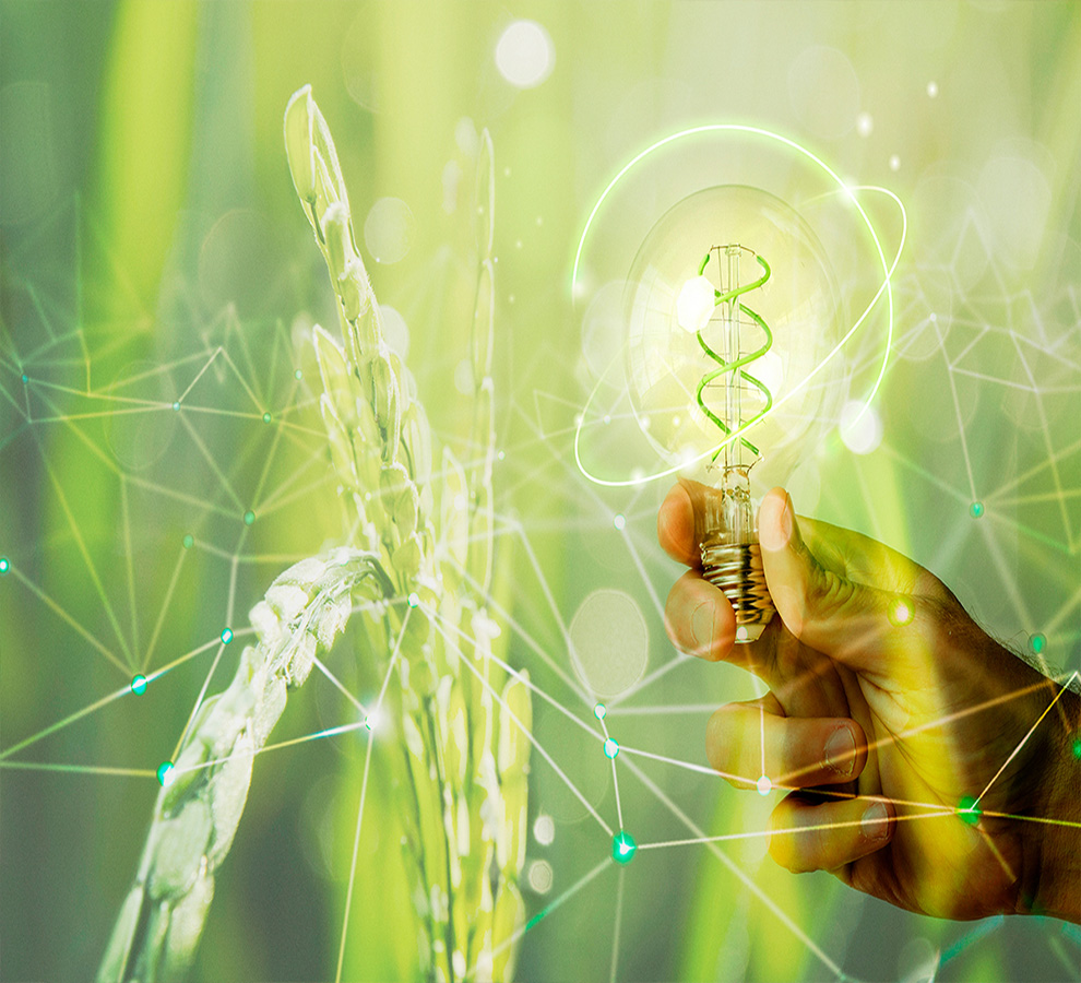 Tecnología verde: ¿Cómo puede la industria de TI reducir la huella de carbono?