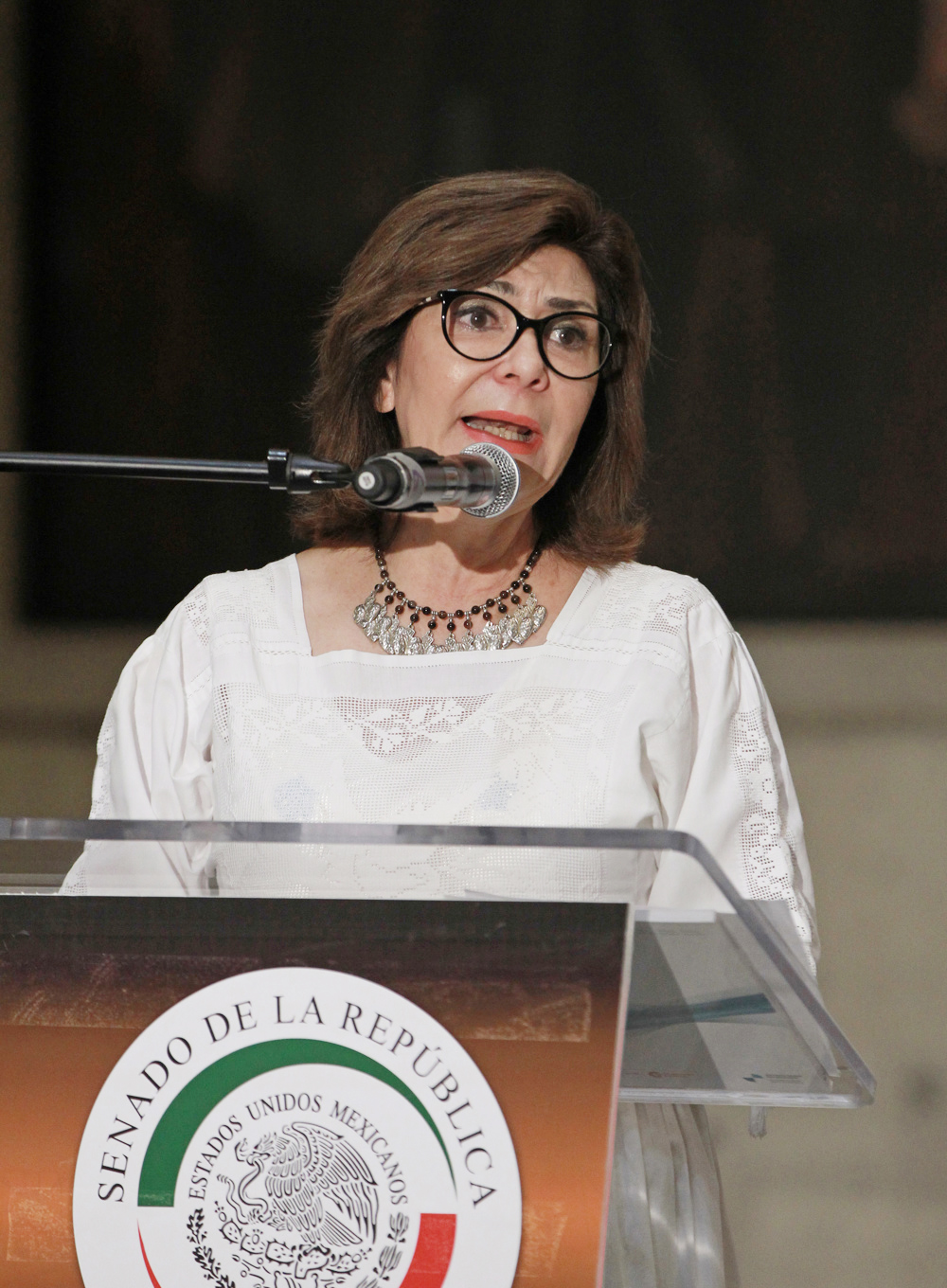 La desaparición, un problema “muy complejo” que reclama soluciones regionales