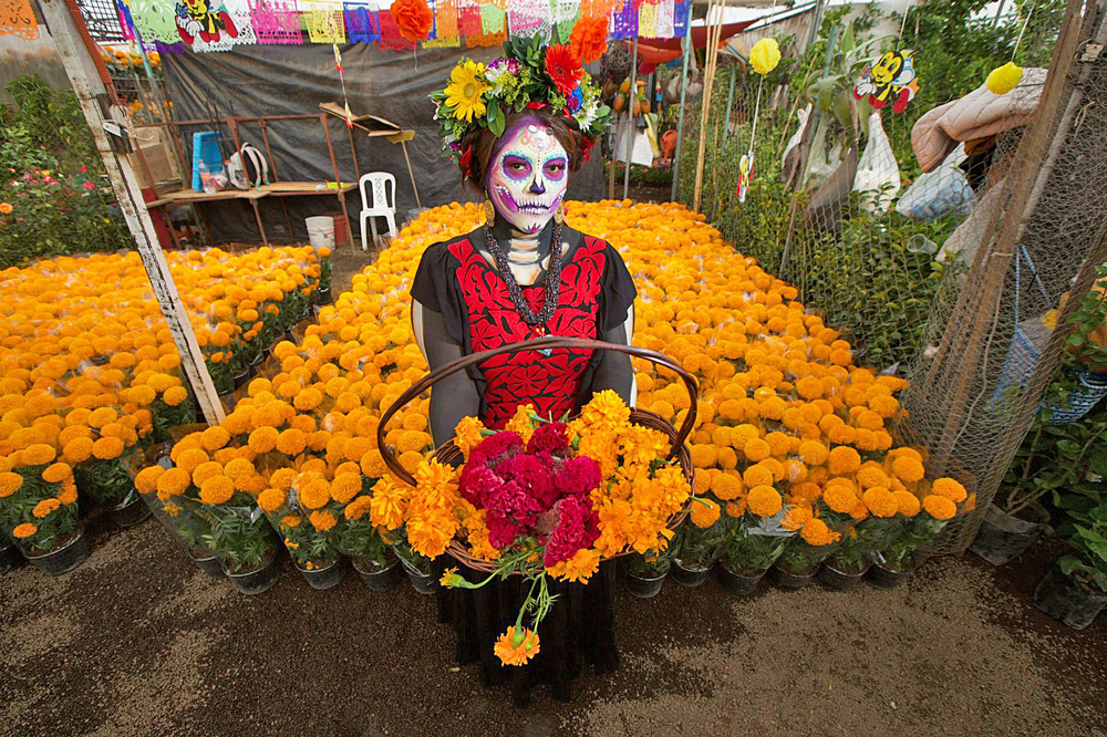 La producción mexicana de la flor de cempasúchil aumenta hasta las   toneladas | El Periódico USA | En español del Rio Grande Valley, Texas.