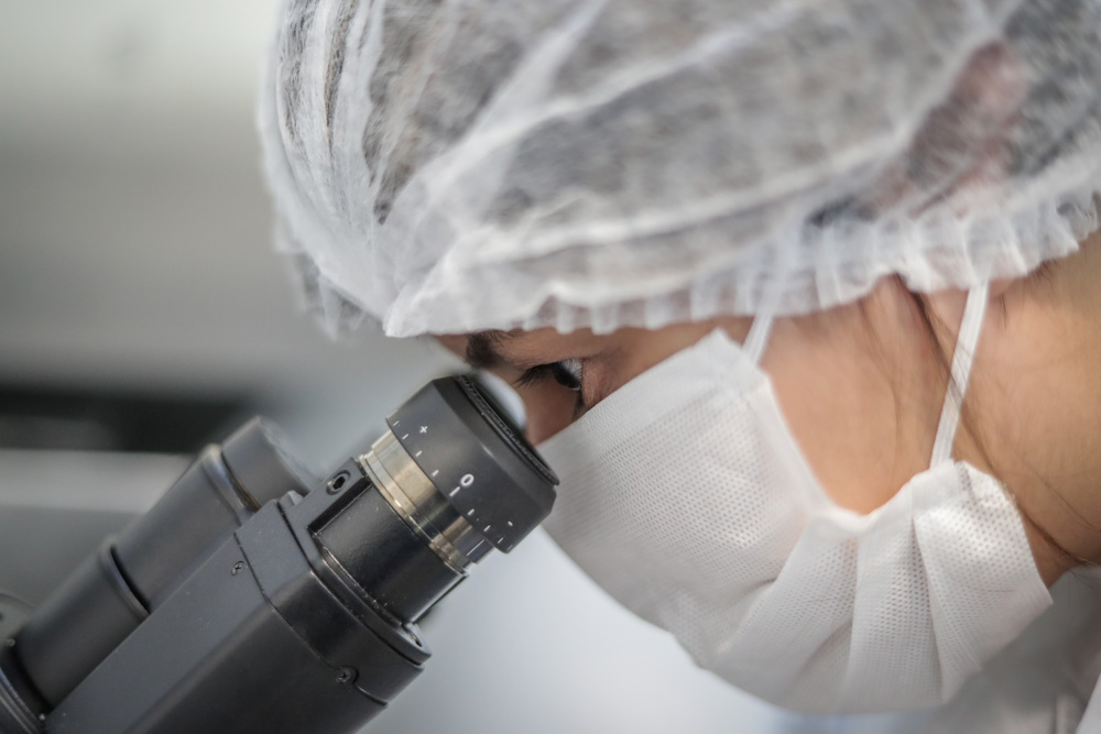 Organismos que vivieron hace 575 millones de años comían bacterias y algas