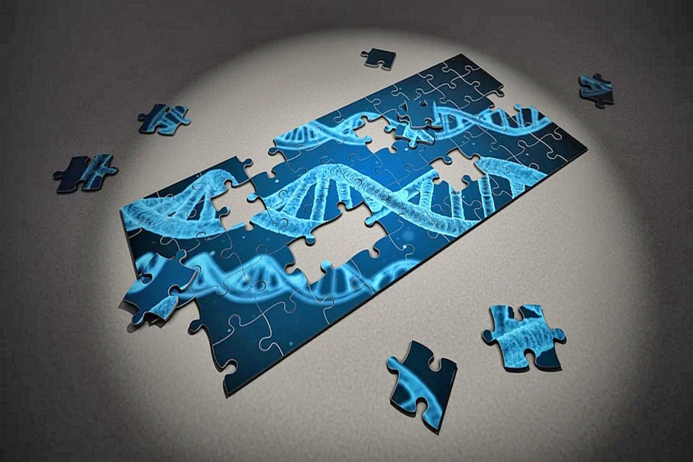 ¿Cómo la poliomielitis pasó de ser erradicada a hacerse presente hoy en día?