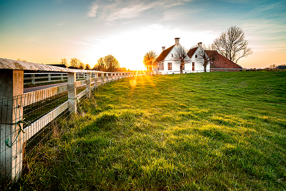 ¿En dónde están las Zonas Azules y por qué la gente llega a vivir hasta 100 años?