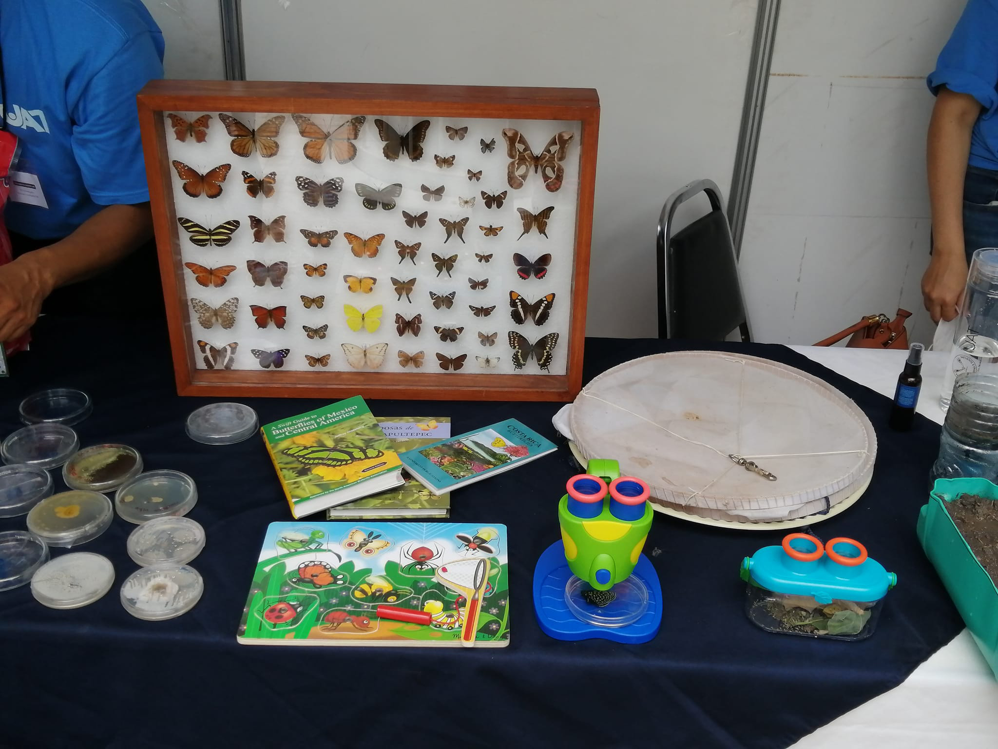 Desarrolla UAT proyecto sobre insectos indicadores de calidad ambiental en áreas urbanas