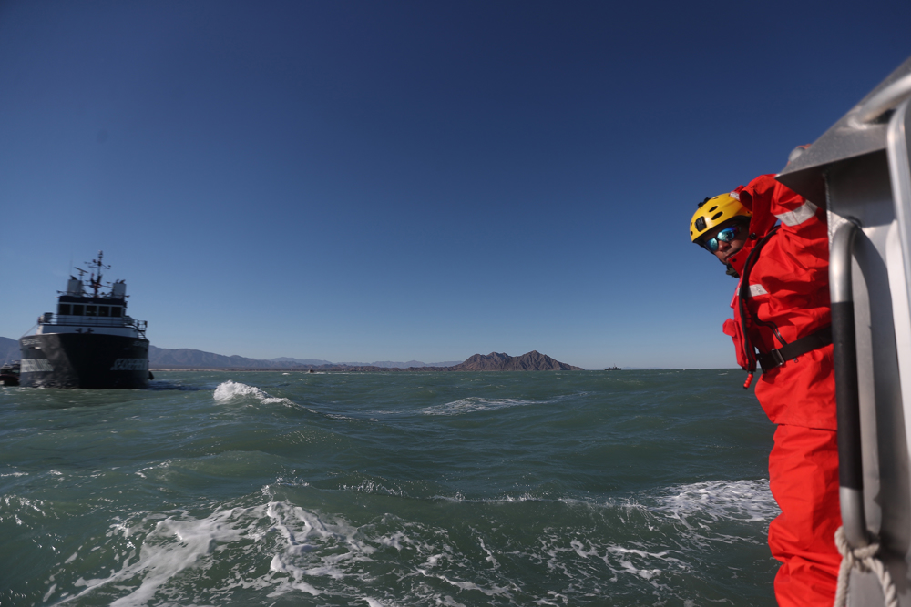 Armada mexicana y Sea Shepherd recogen frutos de protección a vaquita marina