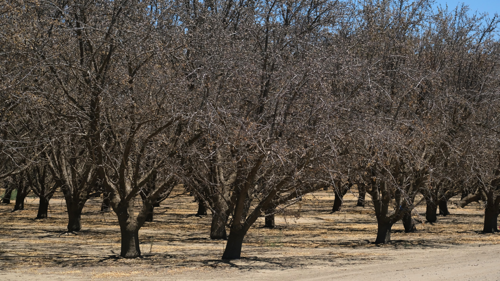 California, cuando el clima mediterráneo adopta forma de tormenta o sequía