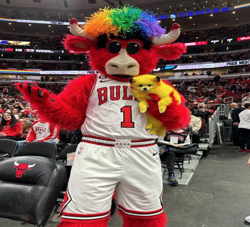 Le tiñe el pelo a su mascota y lo multan; así se defiende