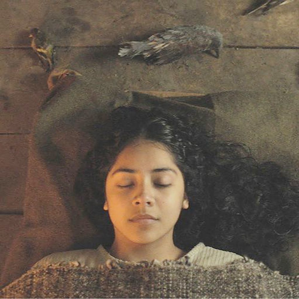 “Sorcery”, la historia de resistencia indígena que crea sensación en Sundance