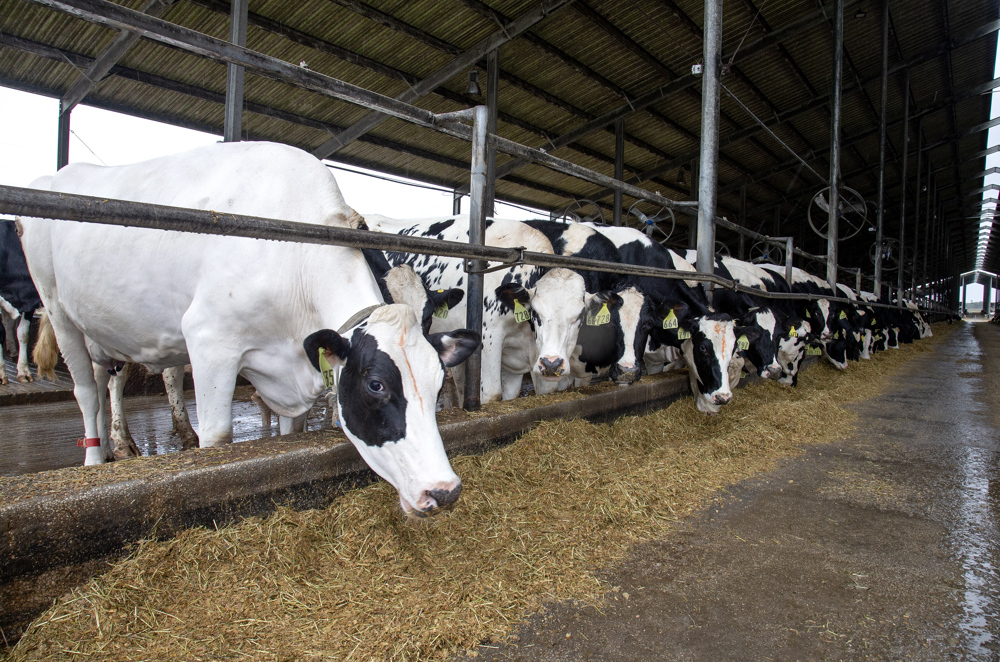 La falta de mano de obra es el mayor desafío para los agricultores de EEUU