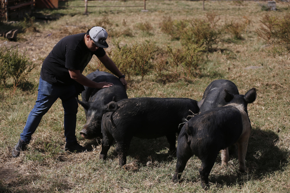 México recibe certificado Paisaje Biocultural por acciones sustentables