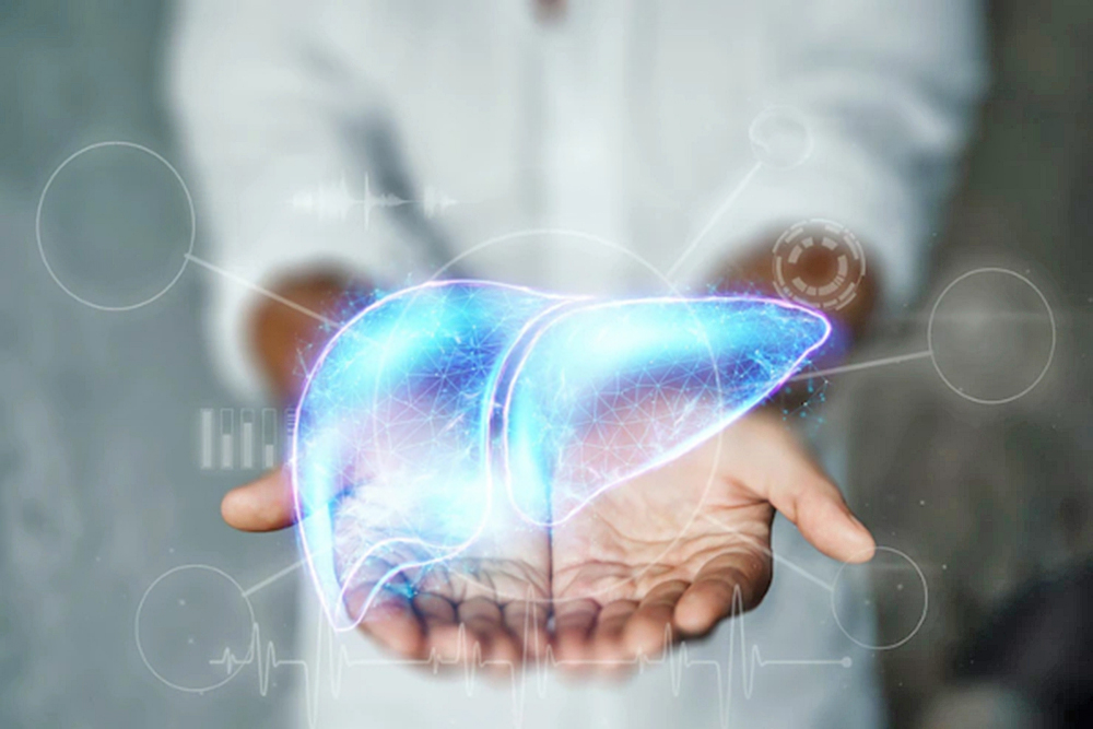 Estudio descubre vínculo entre la comida rápida y el hígado graso