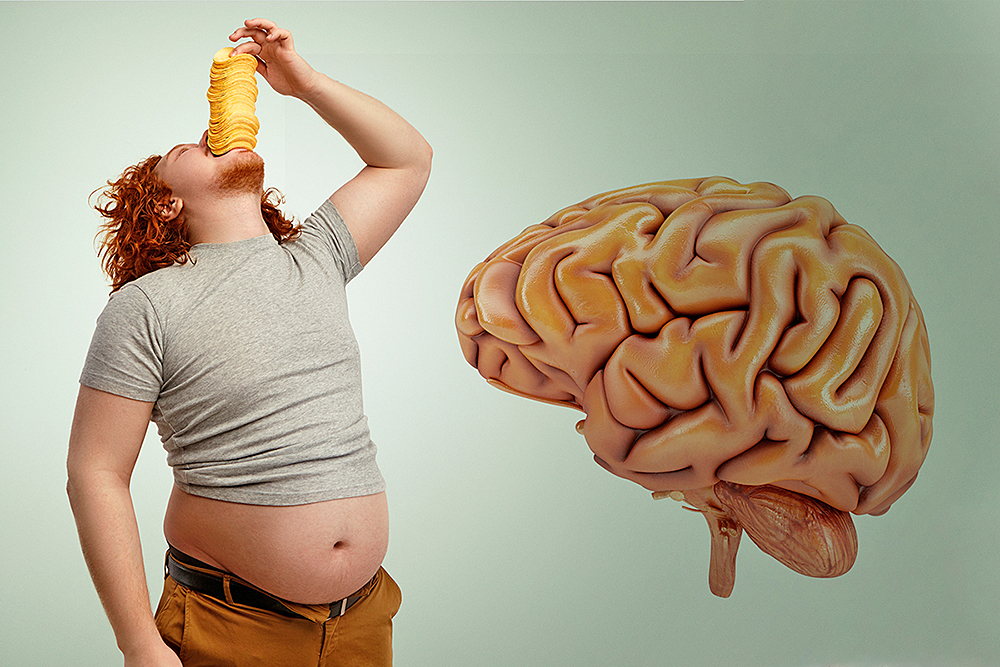 Males de la comida chatarra: estudio sugiere que su consumo afecta el cerebro