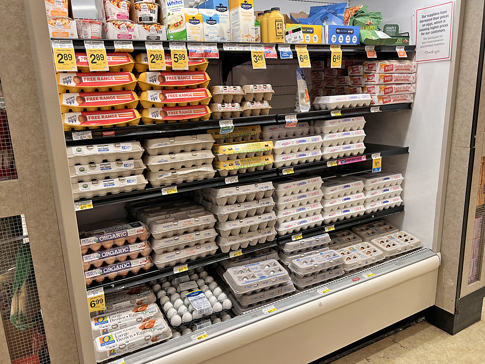 El loco precio del huevo, un dolor para los hogares estadounidenses