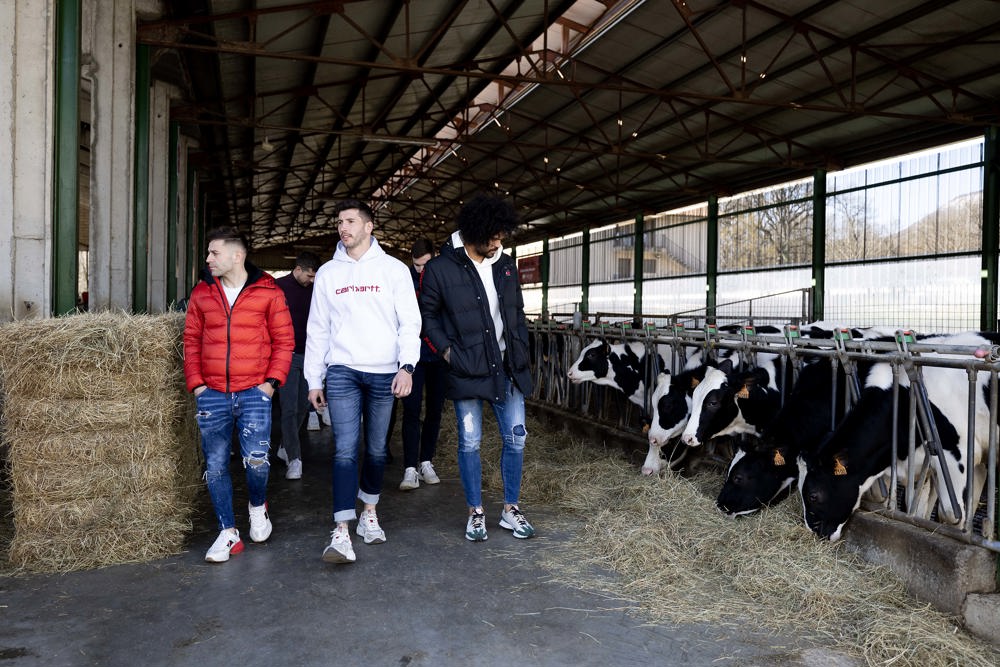 Moncayola, Chimy Ávila, Abde… hombres de empresa de Osasuna