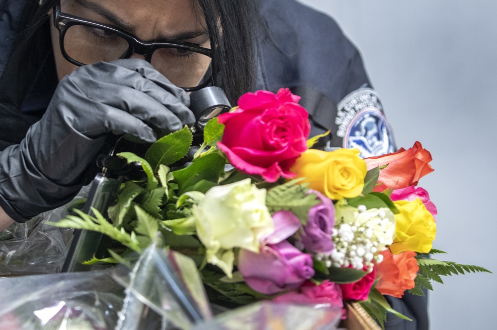 La llegada de toneladas de flores a Miami anuncia ya San Valentín