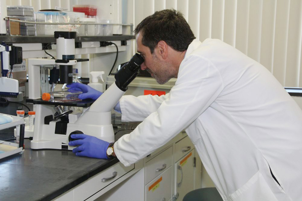 La FDA aprueba un primer tratamiento contra el síndrome de Rett