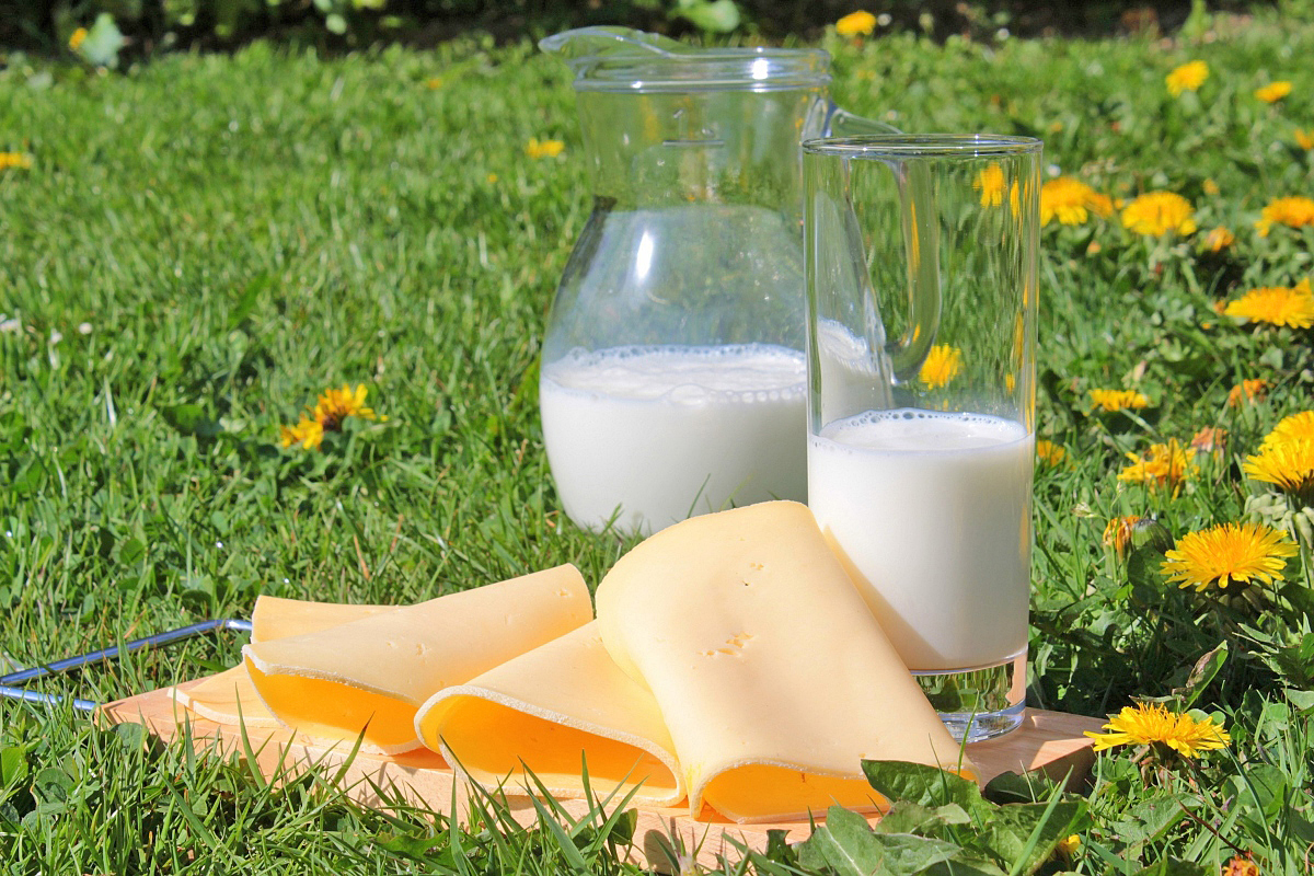 ¿Intolerancia a la lactosa? Disfrutar sin miedo es posible