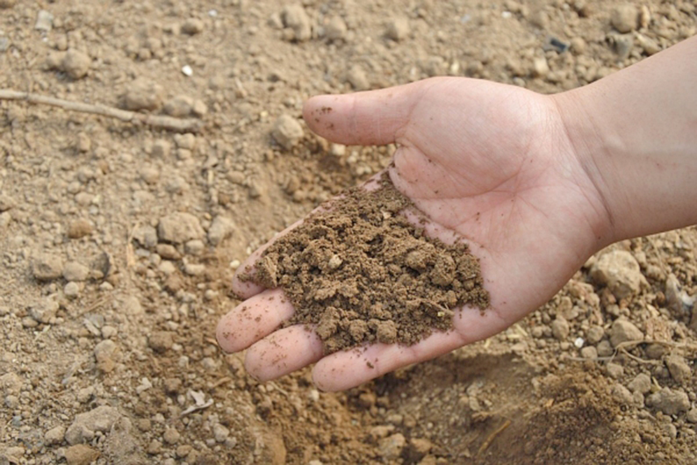 Para 2050 se reducirá el 80% de las emisiones de CO2 producidas por fertilizantes