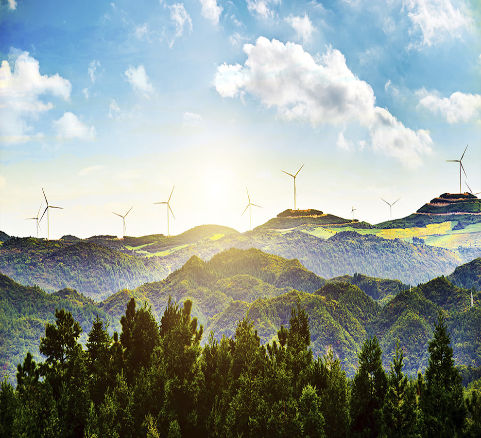 Adopción de energías limpias es clave para responder al cambio climático: OCDE