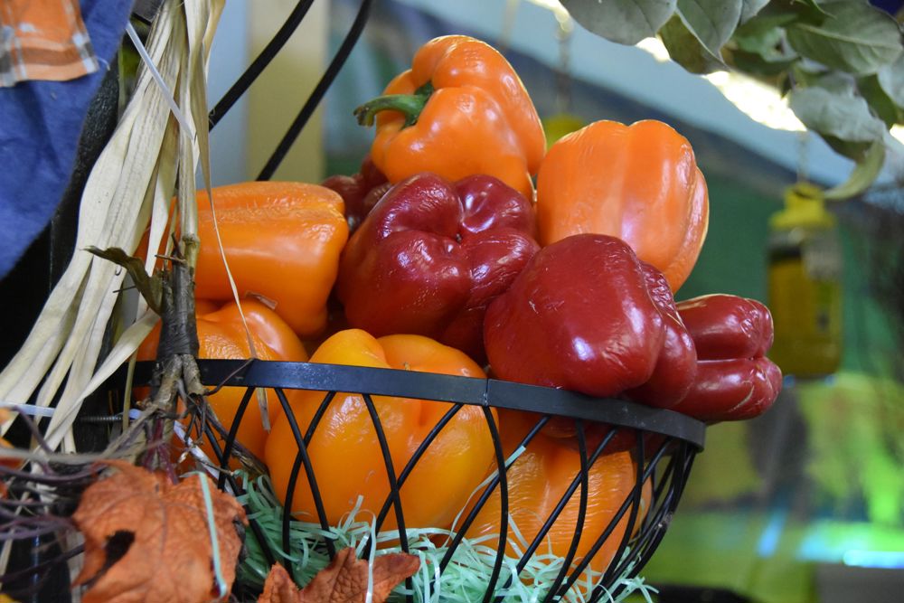 Lo que más preocupa en EE.UU. es el precio de los alimentos, según sondeo