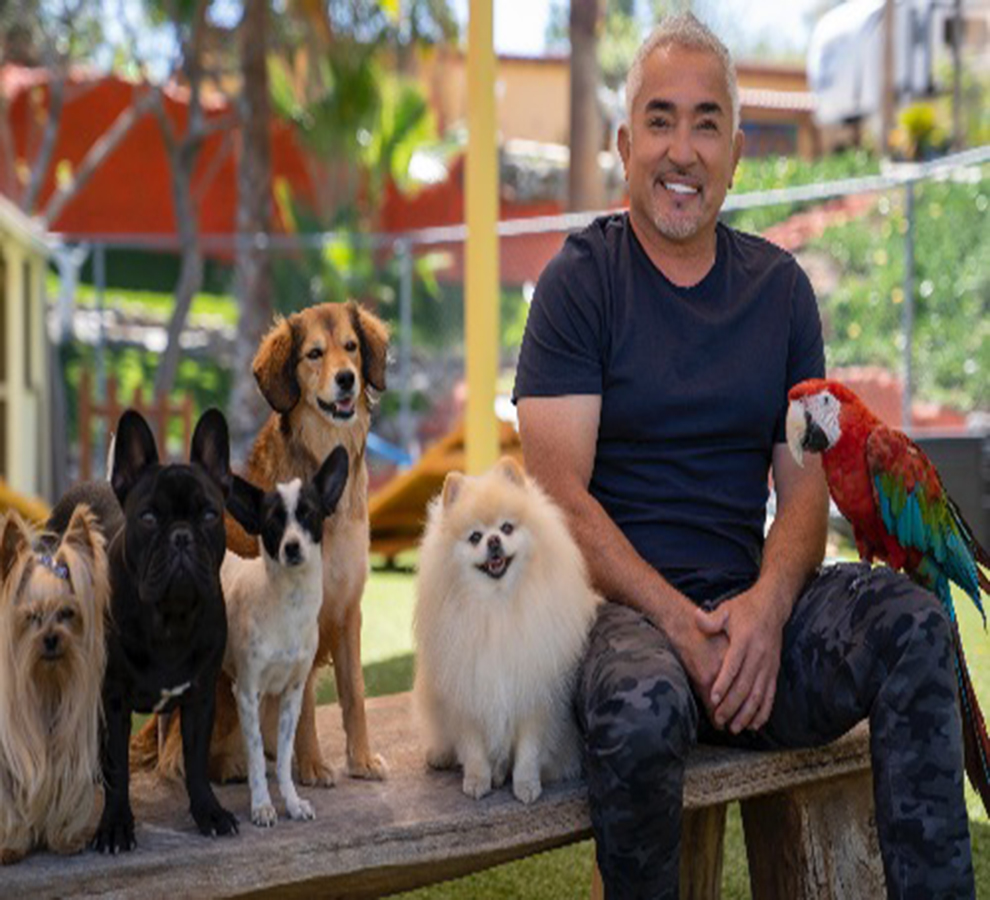 CESAR MILLÁN lanza nuevo podcast Mejor Humano, Mejor Planeta