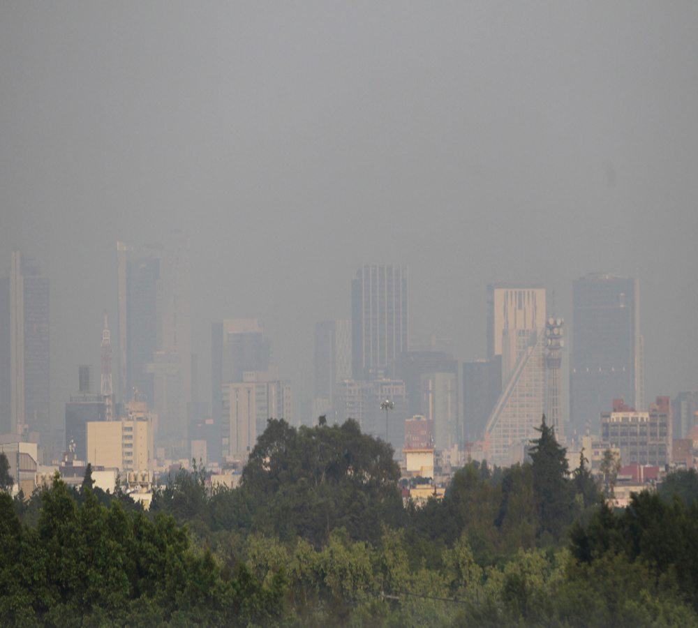 La contaminación puede provocar mutaciones genéticas en bebés, según estudio