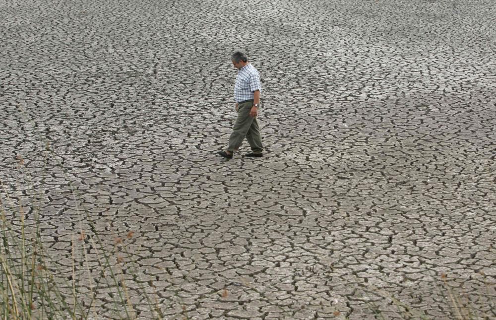 América Latina, el Caribe y la UE se alían para una “transición verde y justa”