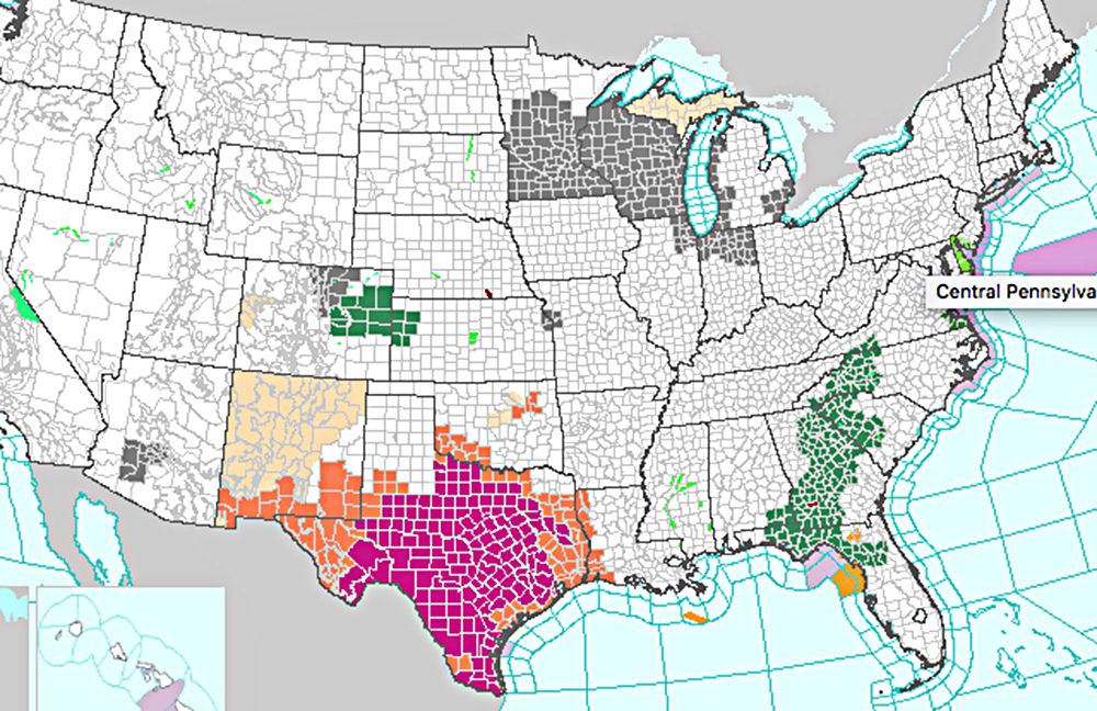 Autoridades de salud del estado dan precauciones para la ola de calor