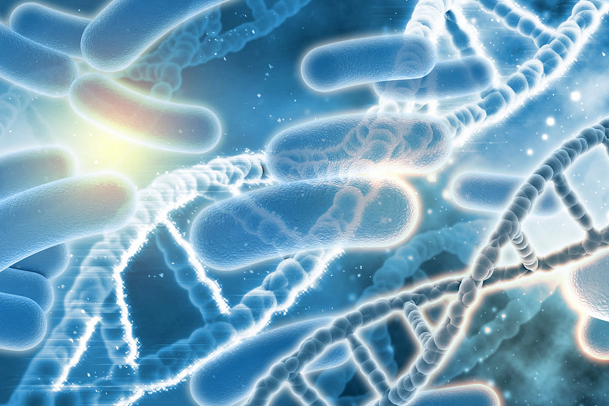 Probióticos, los alimentos funcionales para tener un equilibrio de salud