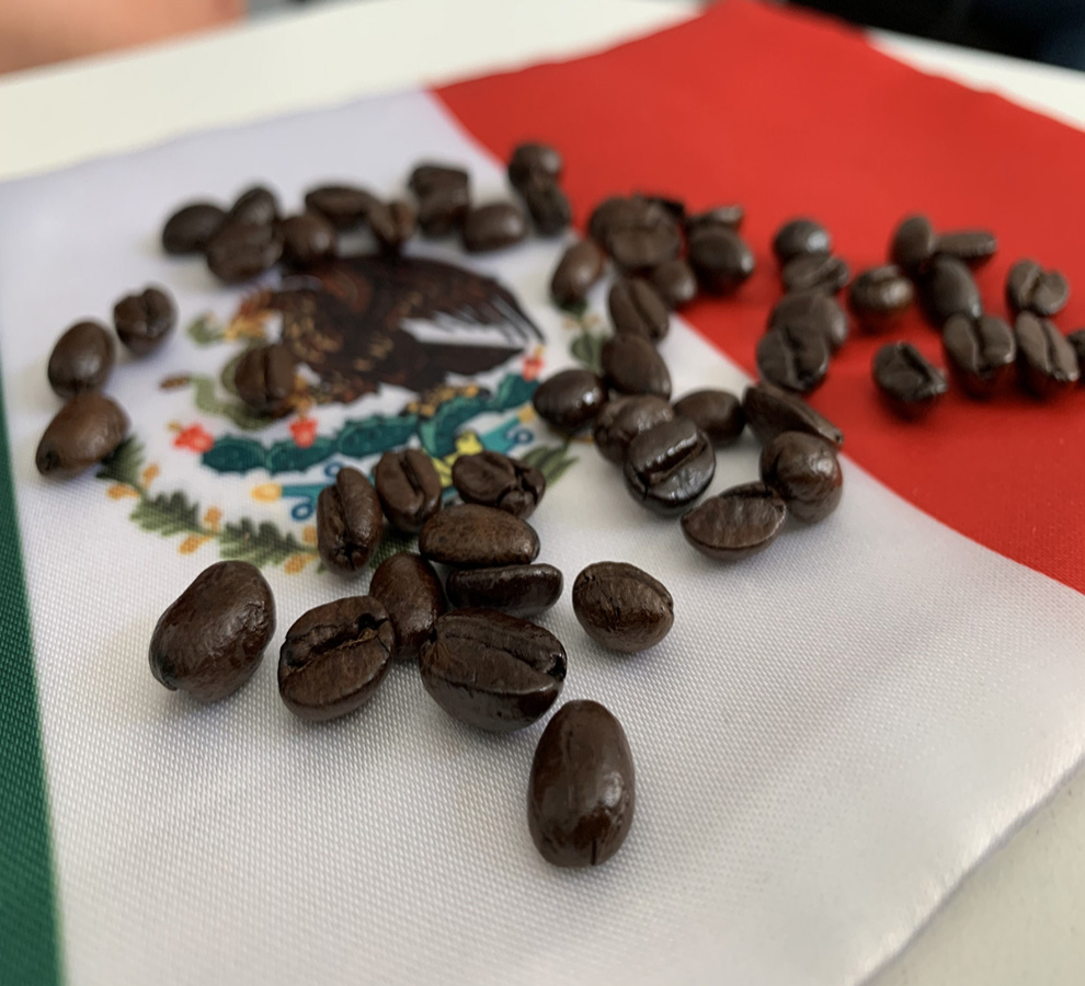 Festival de Café en Xalapa: qué esperar de la primera edición