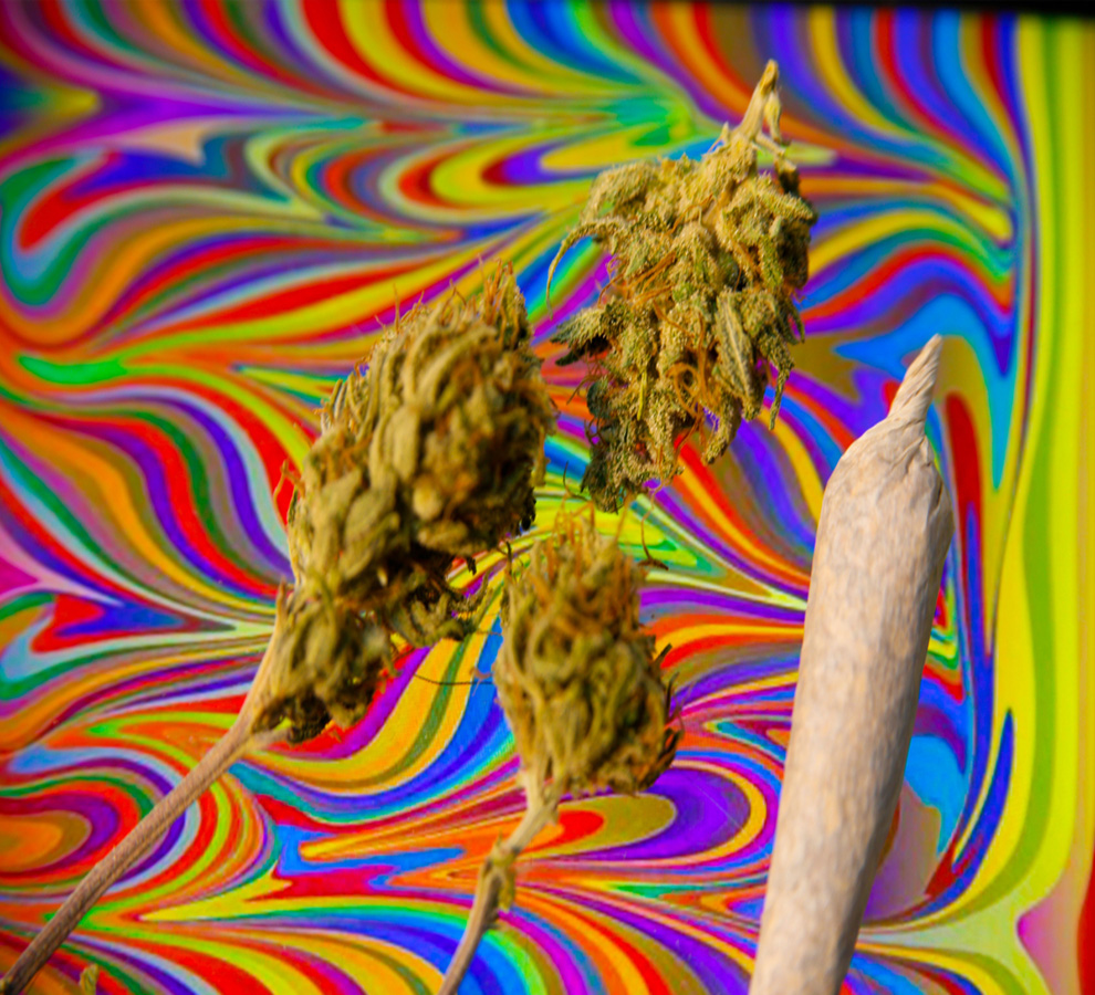 Turismo de cannabis: México tiene el potencial de ser un destino clave