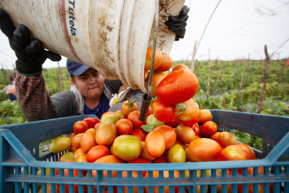 La actividad económica de México crece un 4,3 % interanual en mayo