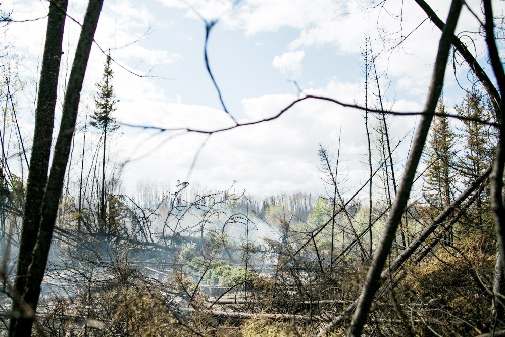 Regiones árticas de Canadá rompen récords de temperaturas máximas con 24,8º C