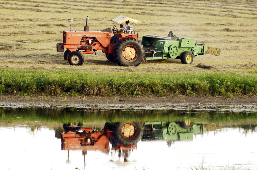 Latinos enfrentan el calor en medio de mayores desafíos