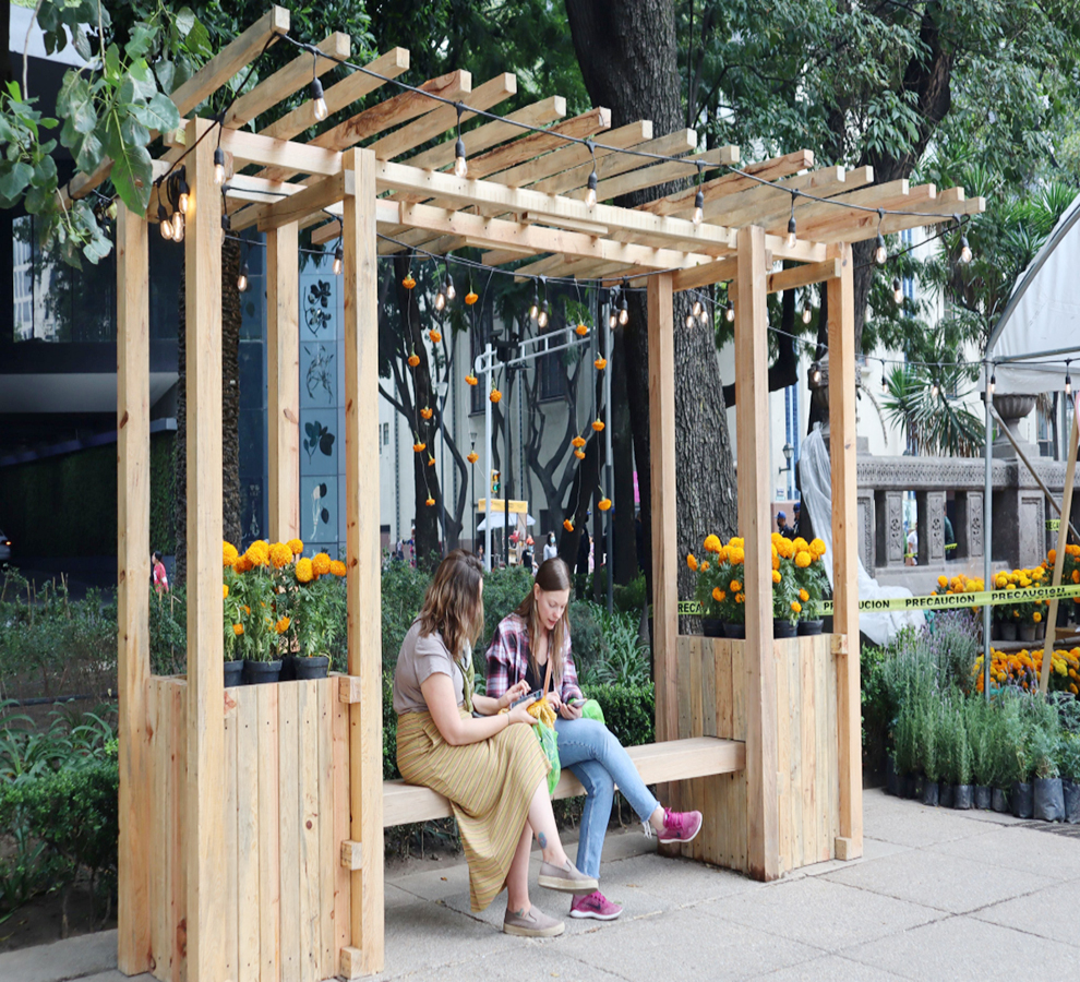 Brecha de género en la salud afecta económicamente a las mujeres jefas de familia