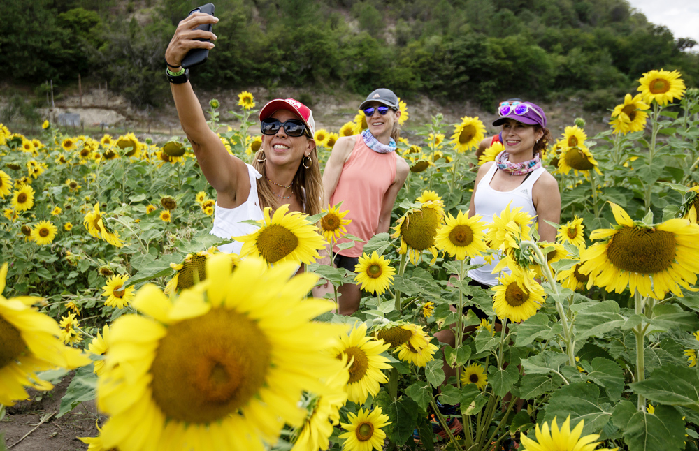 Un campo de girasoles impulsa el turismo sustentable en el norte de México