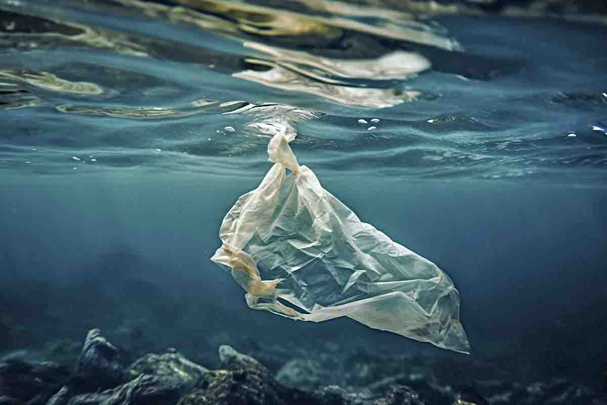 Voluntarios recogen 1.3 millones de envases de comida en los mares