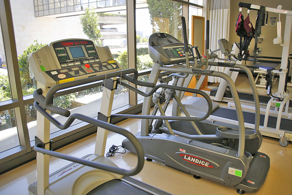 ¿Puede el ejercicio ayudar a contrarrestar el riesgo genético de enfermedades?