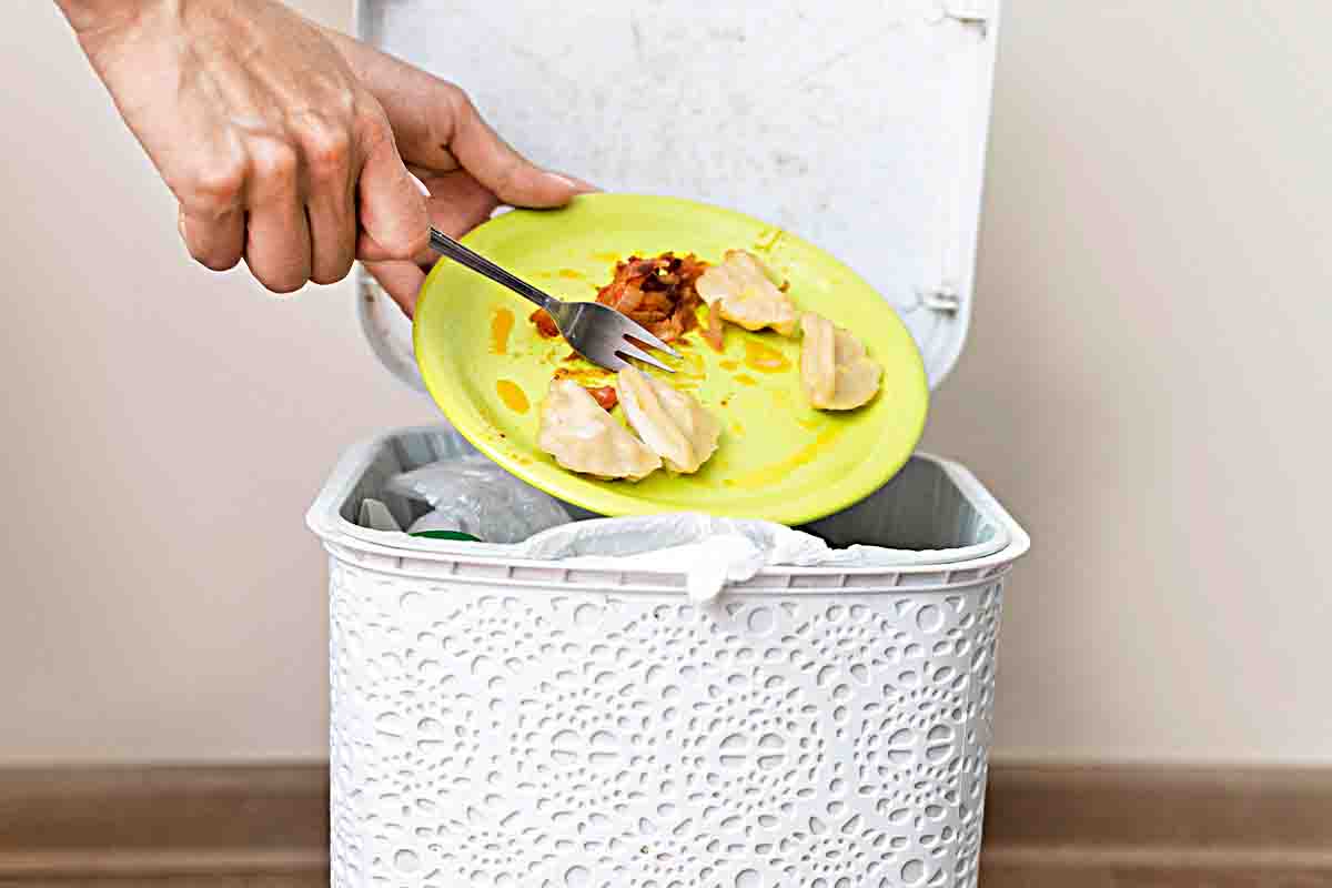 Mayor parte del desperdicio de alimentos se hace a la hora de consumirlo