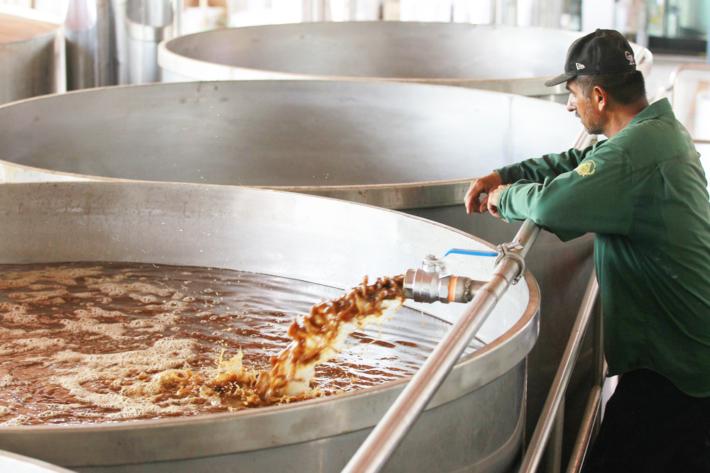 La industria tequilera en México certifica sus agaves para evitar un impacto ambiental