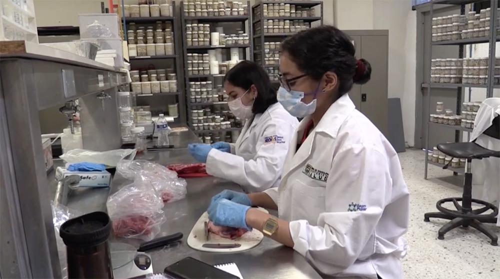 Participará la UAT en proyectos con universidades de Estados Unidos