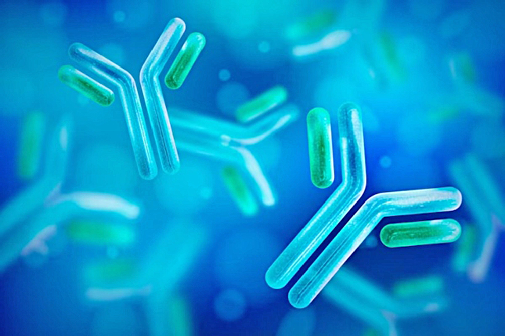 Probióticos ayudarían a retrasar el deterioro cognitivo relacionado con la edad