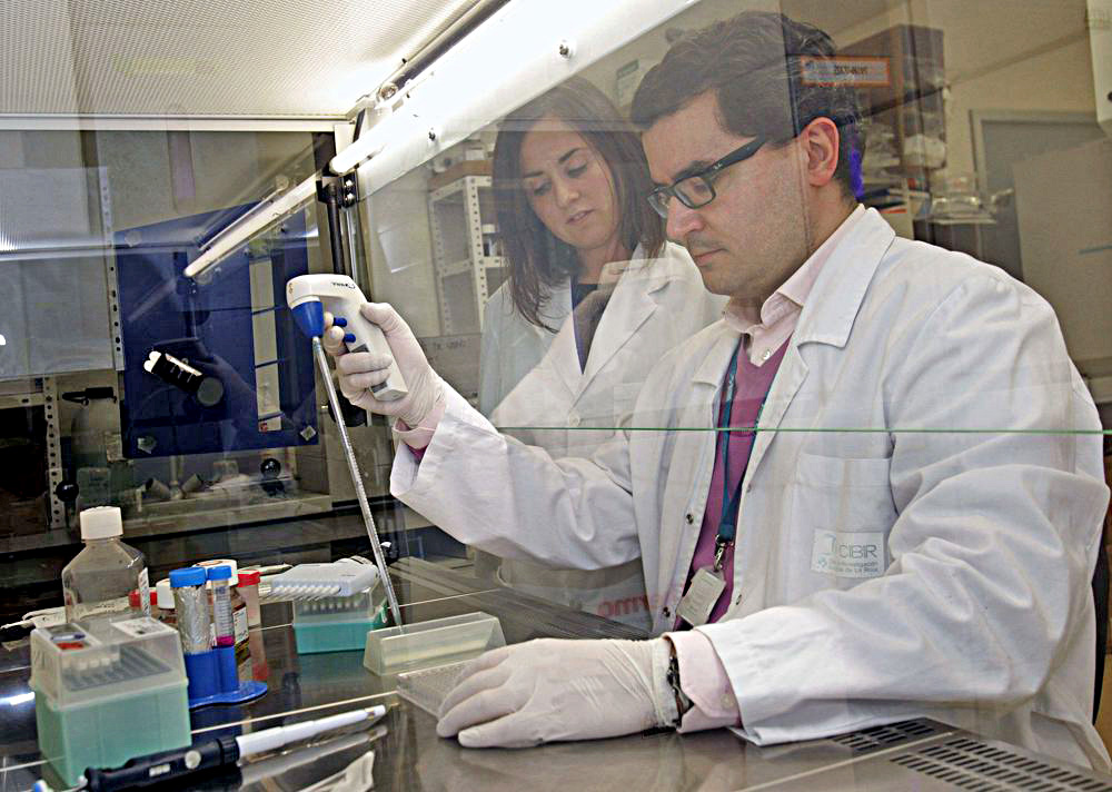 Científicos producen “tijera” biomolecular que ayudaría en terapias contra el cáncer