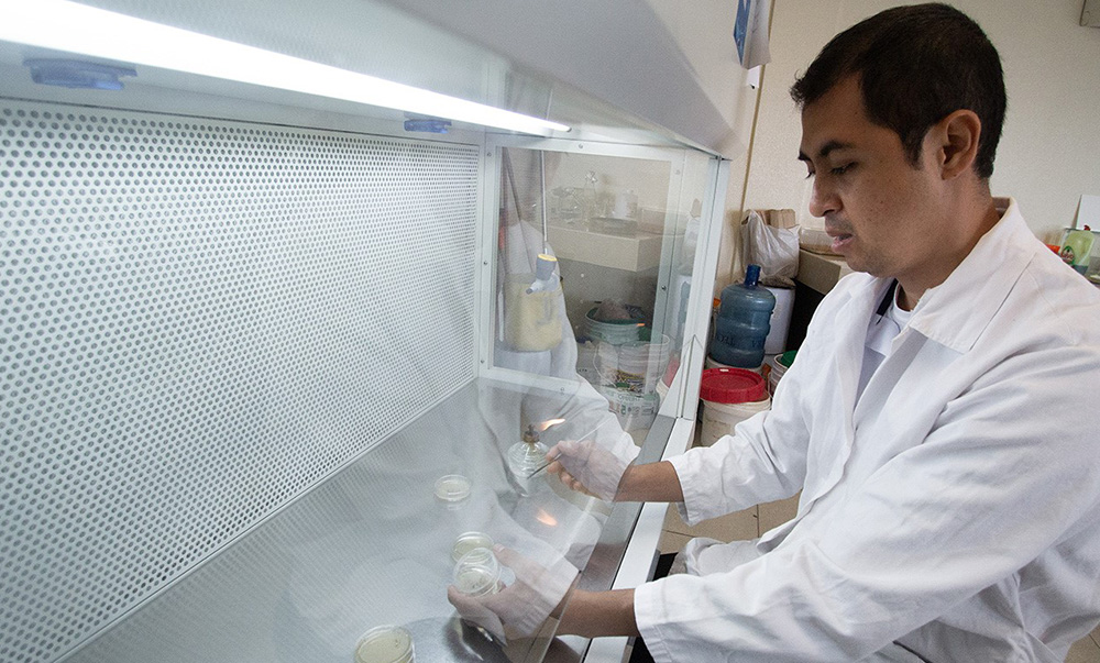 Estudia la UAT nuevos compuestos en especies de insectos comestibles