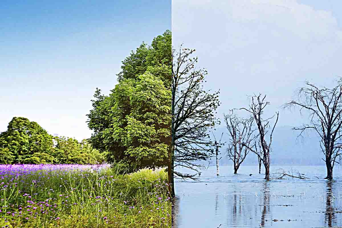 Degradación ambiental resulta en pérdidas anuales de 75 mil millones de dólares