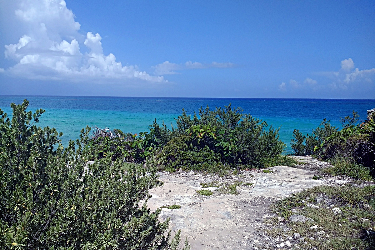 Estudio revela el impacto del color del mar debido al cambio climático