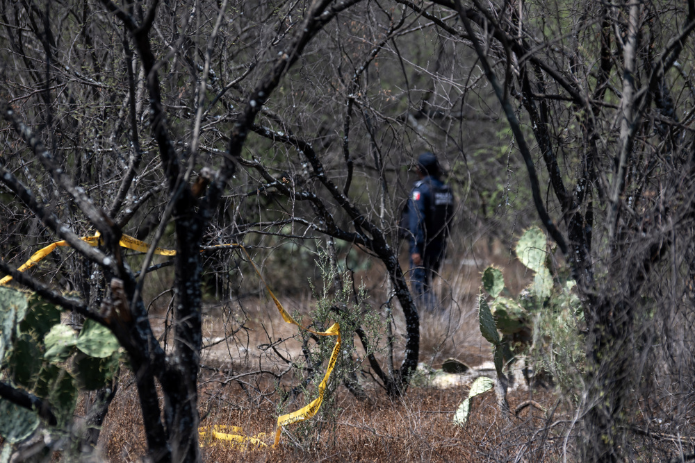 Agentes revisan terreno clave en busca de desaparecidos en estado mexicano de Nuevo