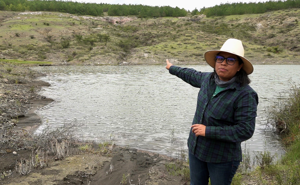 Alianza indígena convierte una zona árida en un bosque de 20 millones de árboles en México