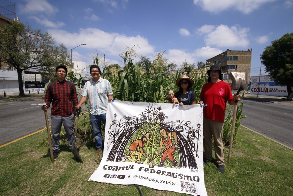 Organizaciones mexicanas buscan proteger la milpa, el cultivo prehispánico del maíz