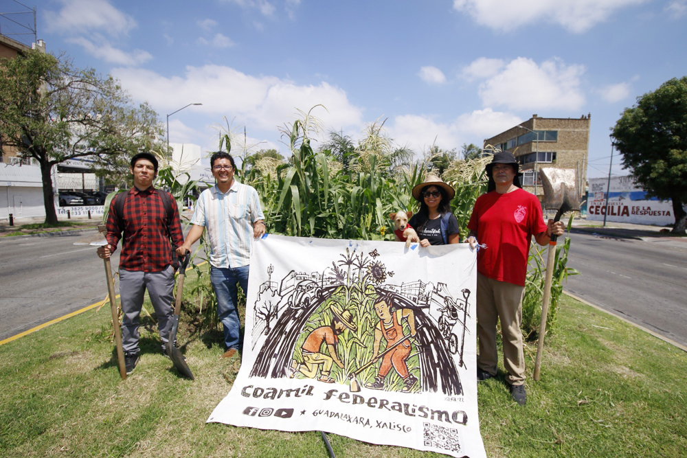 Organizaciones mexicanas buscan proteger la milpa, el cultivo prehispánico del maíz